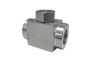 Piston Type Check Valve